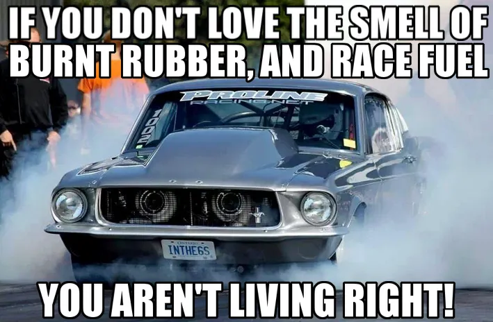 RACE TRACK - Image 4