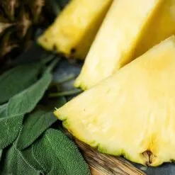 PINEAPPLE SAGE