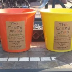 Alternative view of CITRONELLA