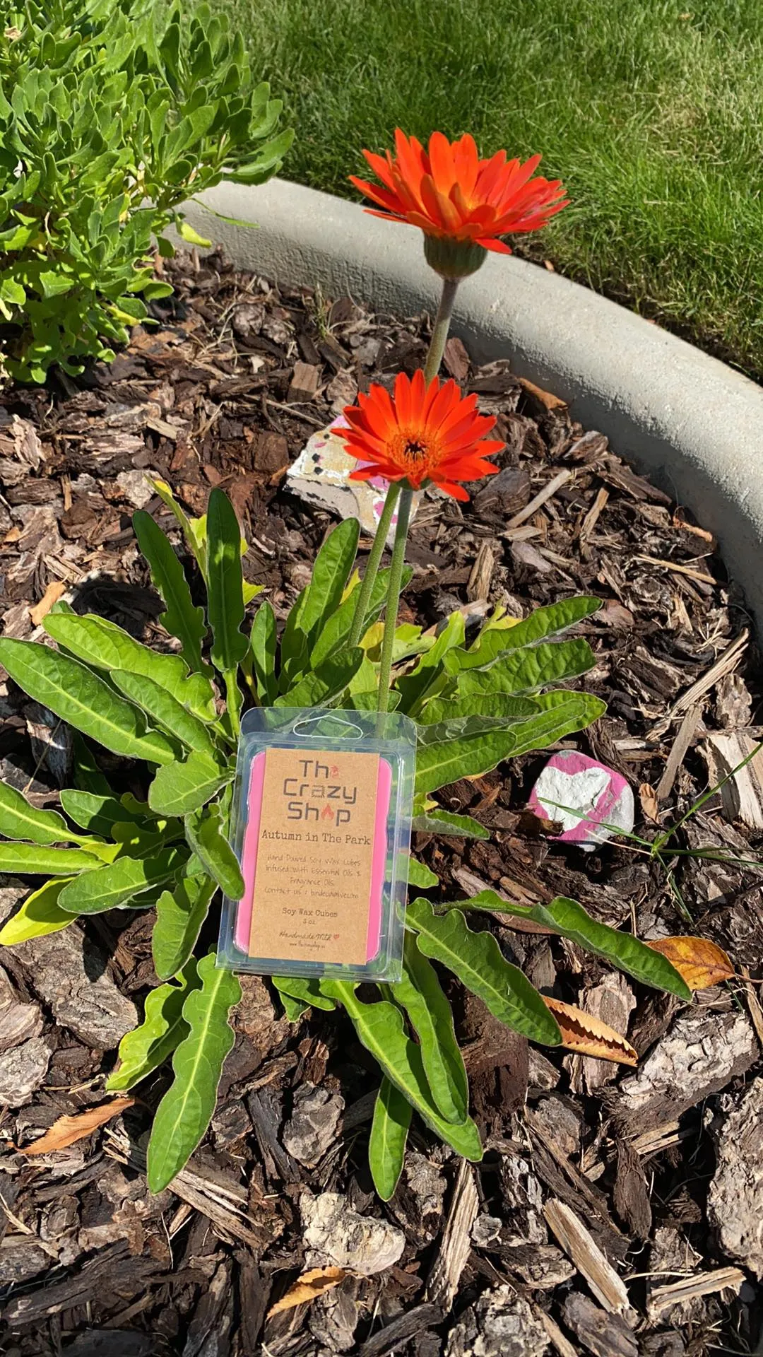 AUTUMN PARK - Image 2