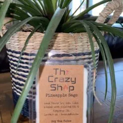 Alternative view of PINEAPPLE SAGE