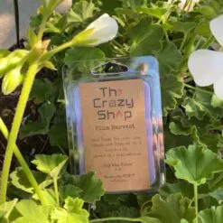 Alternative view of PLUM HARVEST