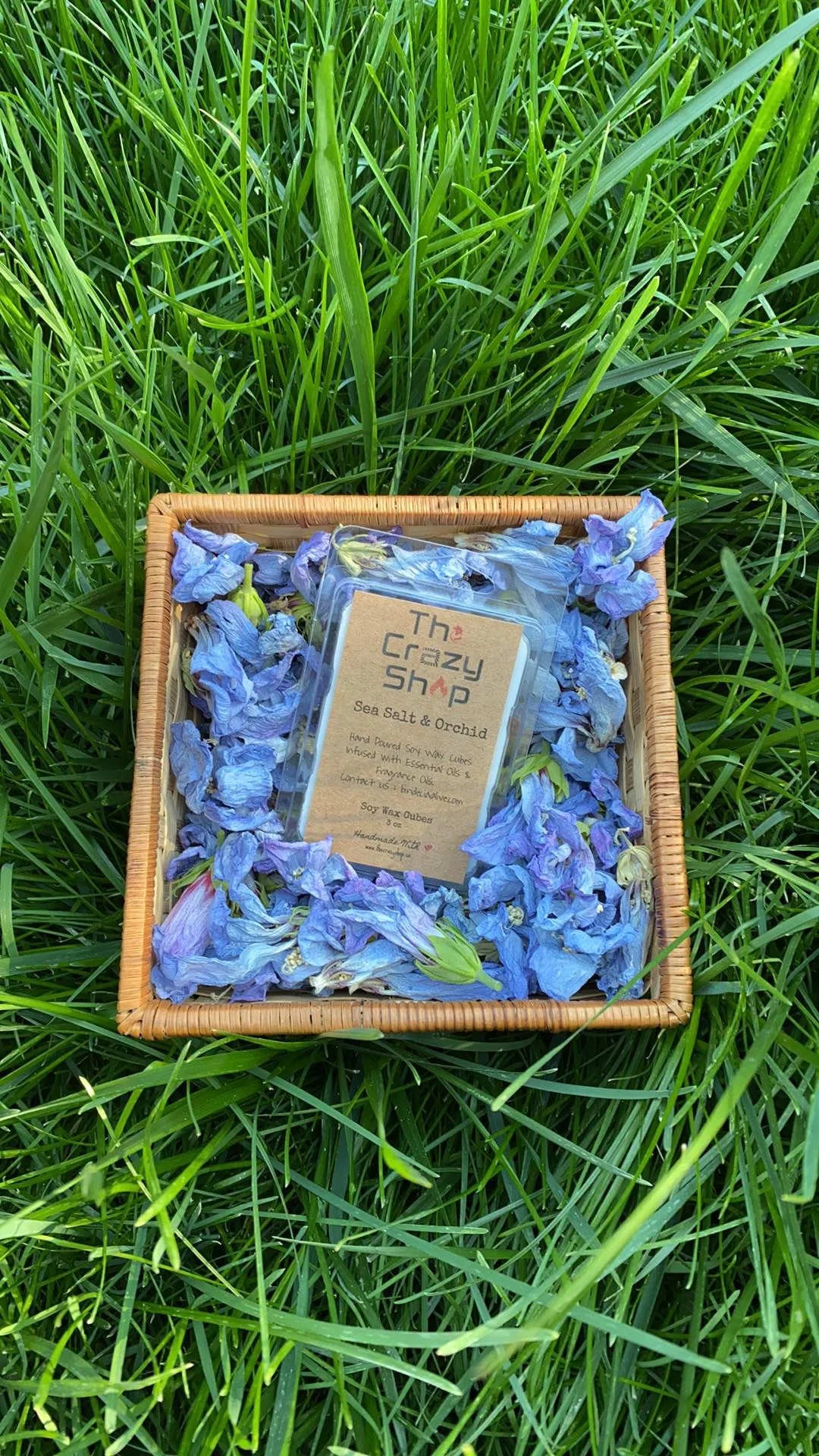 SEA SALT & ORCHID - Image 2