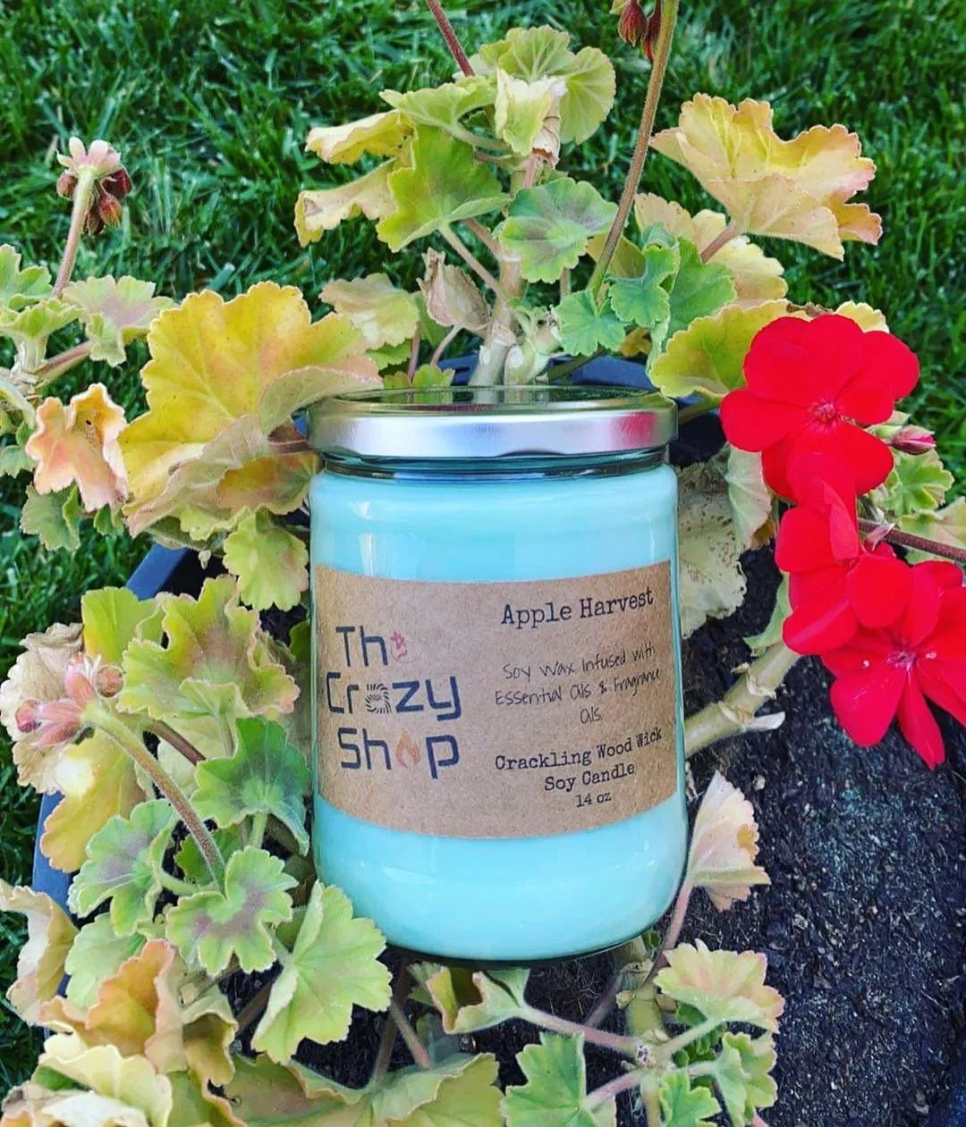 APPLE HARVEST - Image 4