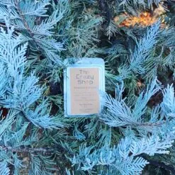 Alternative view of FROSTED JUNIPER