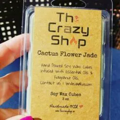 Alternative view of CACTUS FLOWER