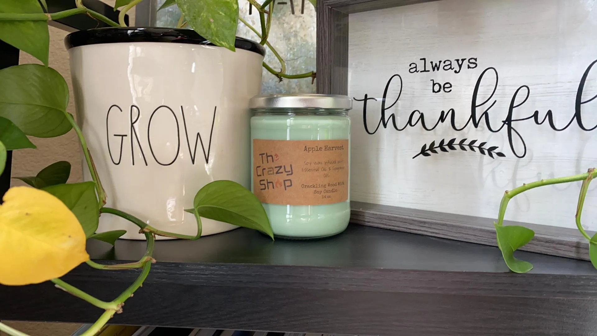 APPLE HARVEST - Image 3