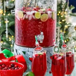 CRANBERRY PUNCH