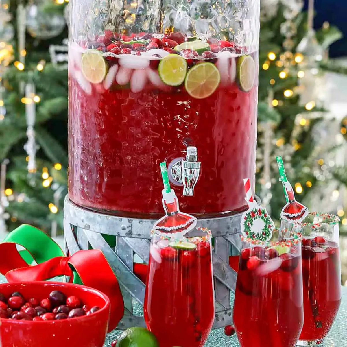 CRANBERRY PUNCH