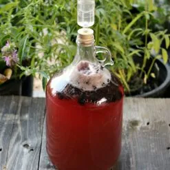 BERRY MEAD
