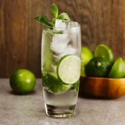 MINT MOJITO