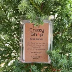 Alternative view of BLUE SPRUCE