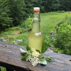 ELDERFLOWER